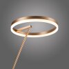 Paul-Neuhaus TITUS Lampada da terra LED Ottone, 1-Luce