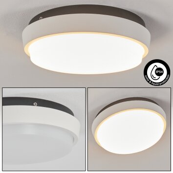 Centinela Plafoniera da esterno LED Antracite, Bianco, 1-Luce