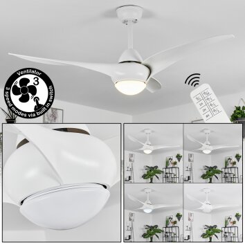 Malloa ventilatore da soffitto LED Bianco, 1-Luce, Telecomando
