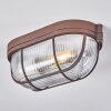 Chaquire Plafoniera Marrone, Ruggine, 1-Luce