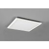 Reality Carus Plafoniera LED Bianco, 2-Luci