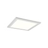 Reality Carus Plafoniera LED Bianco, 2-Luci