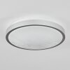 Subles Plafoniera LED Argento, Bianco, 1-Luce, Sensori di movimento