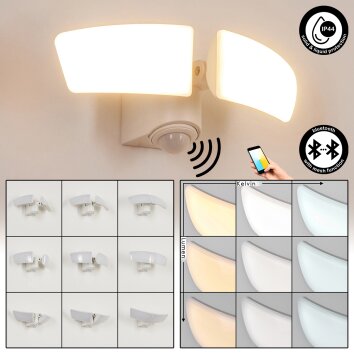Carnetin Applique da esterno LED Bianco, 2-Luci, Sensori di movimento