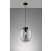 Fischer & Honsel Regi Lampada a Sospensione Nero, 1-Luce