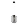 Fischer & Honsel Regi Lampada a Sospensione Nero, 1-Luce