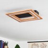Charentay Plafoniera LED Nero, 1-Luce