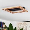 Charentay Plafoniera LED Nero, 1-Luce