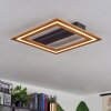 Charentay Plafoniera LED Nero, 1-Luce