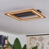 Charentay Plafoniera LED Nero, 1-Luce