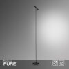 Paul Neuhaus PURE-TUTUA Lampada da terra LED Nero, 1-Luce