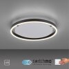 Leuchten-Direkt RITUS Plafoniera LED Antracite, 1-Luce