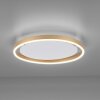 Leuchten-Direkt RITUS Plafoniera LED Ottone, 1-Luce