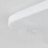 Melres Plafoniera LED Bianco, 1-Luce