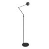 Steinhauer Soleil Lampada da terra LED Nero, 1-Luce