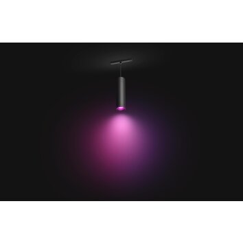 Philips Hue Perifo Lampada a Sospensione con peso LED Nero, 1-Luce, Cambia colore