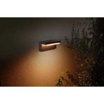 Philips Hue Nyro Applique da esterno LED Nero, 1-Luce, Cambia colore