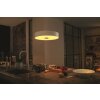 Philips Hue Fair Lampada a Sospensione LED Bianco, 1-Luce, Telecomando