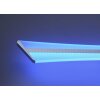 Plafoniera Paul Neuhaus Q-Riller LED Cromo, 2-Luci, Telecomando, Cambia colore