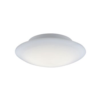 Paul Neuhaus Q-ARKTIS Plafoniera LED Bianco, 1-Luce, Telecomando, Cambia colore