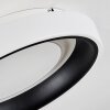 Mackay Plafoniera LED Bianco, 1-Luce, Telecomando