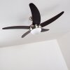 Ventilatori a soffitto Morino Marrone, Nichel opaco, 2-Luci, Telecomando