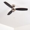 Ventilatori a soffitto Fossa Nichel opaco