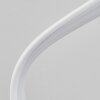 Dauntey Plafoniera LED Bianco, 1-Luce, Telecomando