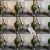 Phniet Faretto da giardino LED Nero, 1-Luce, Telecomando, Cambia colore