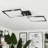 Kanchung Plafoniera LED Nero, 1-Luce