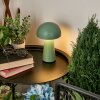Telve Lampada da tavolo LED Verde, 1-Luce