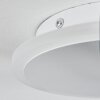 Bina Plafoniera LED Bianco, 1-Luce, Telecomando