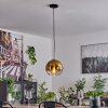 Koyoto Lampadario a sospensione Vetro 25 cm Nero, Argento, 1-Luce