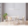 Globo SALMOS Lampadario a sospensione LED Alluminio, Grigio, Argento, 2-Luci, Telecomando, Cambia colore