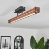 Barron Plafoniera LED Nero, 1-Luce