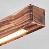 Barron Plafoniera LED Nero, 1-Luce