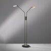 Fischer & Honsel Dent Lampada da terra LED Nero, 2-Luci