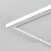 Vex Plafoniera LED Bianco, 1-Luce, Telecomando