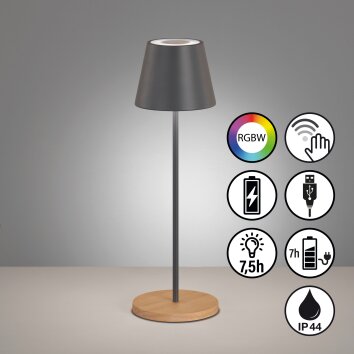 FHL easy Cosenza Lampada da tavolo LED Grigio, Écru, 1-Luce, Cambia colore