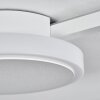 Amdal Plafoniera LED Bianco, 2-Luci