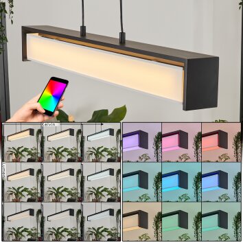 Siders Lampada a Sospensione LED Nero, 1-Luce, Cambia colore