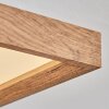 Longvic Plafoniera LED Marrone, Aspetto del legno, Nero, 1-Luce