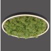 JUST LIGHT GERDA RITUS Plafoniera LED Nero, 1-Luce