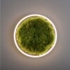 JUST LIGHT GERDA RITUS Plafoniera LED Nero, 1-Luce