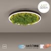 JUST LIGHT GERDA RITUS Plafoniera LED Nero, 1-Luce