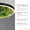 JUST LIGHT GERDA RITUS Plafoniera LED Nero, 1-Luce