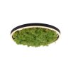 JUST LIGHT GERDA RITUS Plafoniera LED Nero, 1-Luce