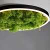 JUST LIGHT GERDA RITUS Plafoniera LED Nero, 1-Luce