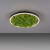 JUST LIGHT GERDA RITUS Plafoniera LED Nero, 1-Luce
