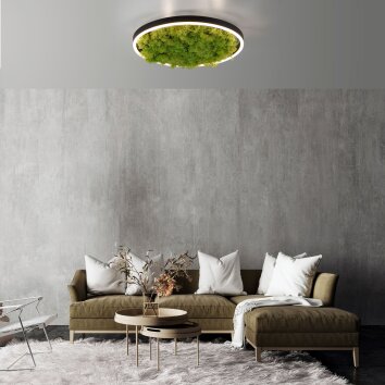 JUST LIGHT GERDA RITUS Plafoniera LED Nero, 1-Luce